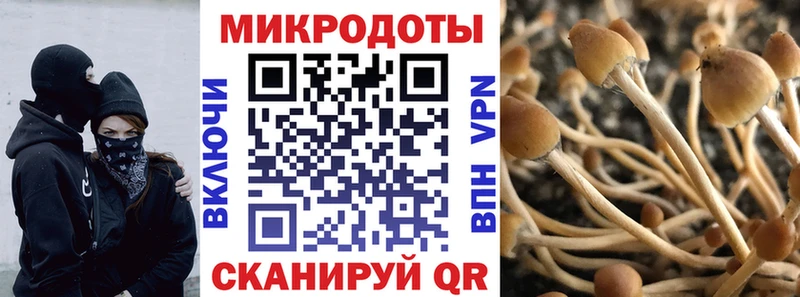Галлюциногенные грибы прущие грибы  Алапаевск 